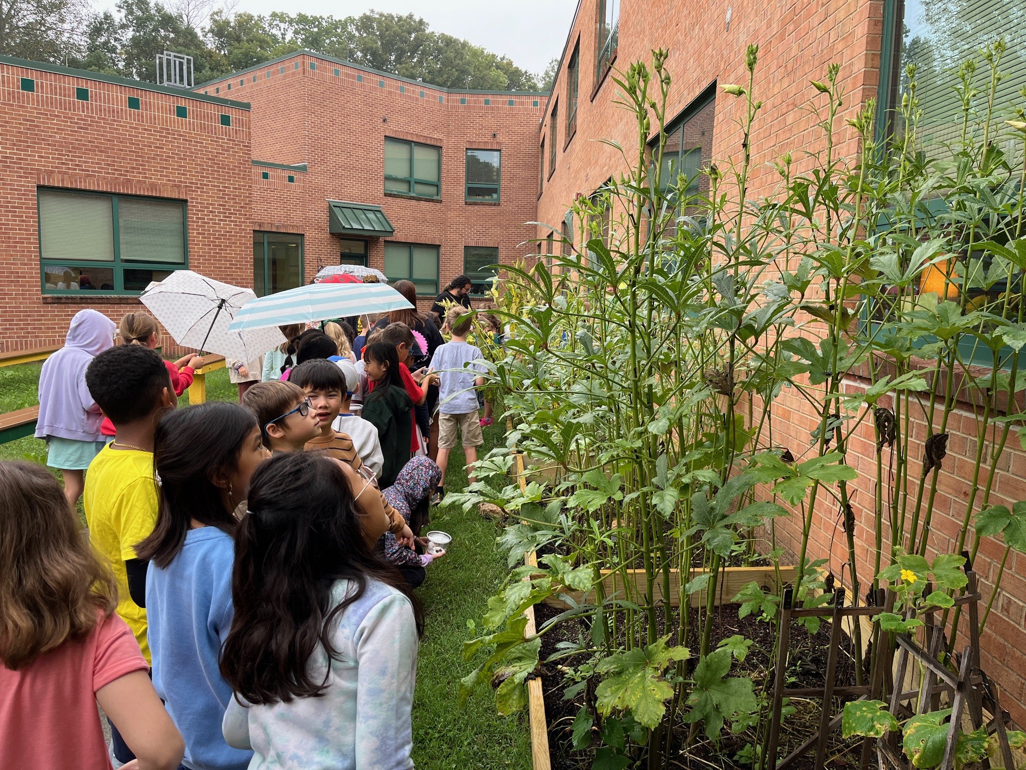 students exploring the gardens